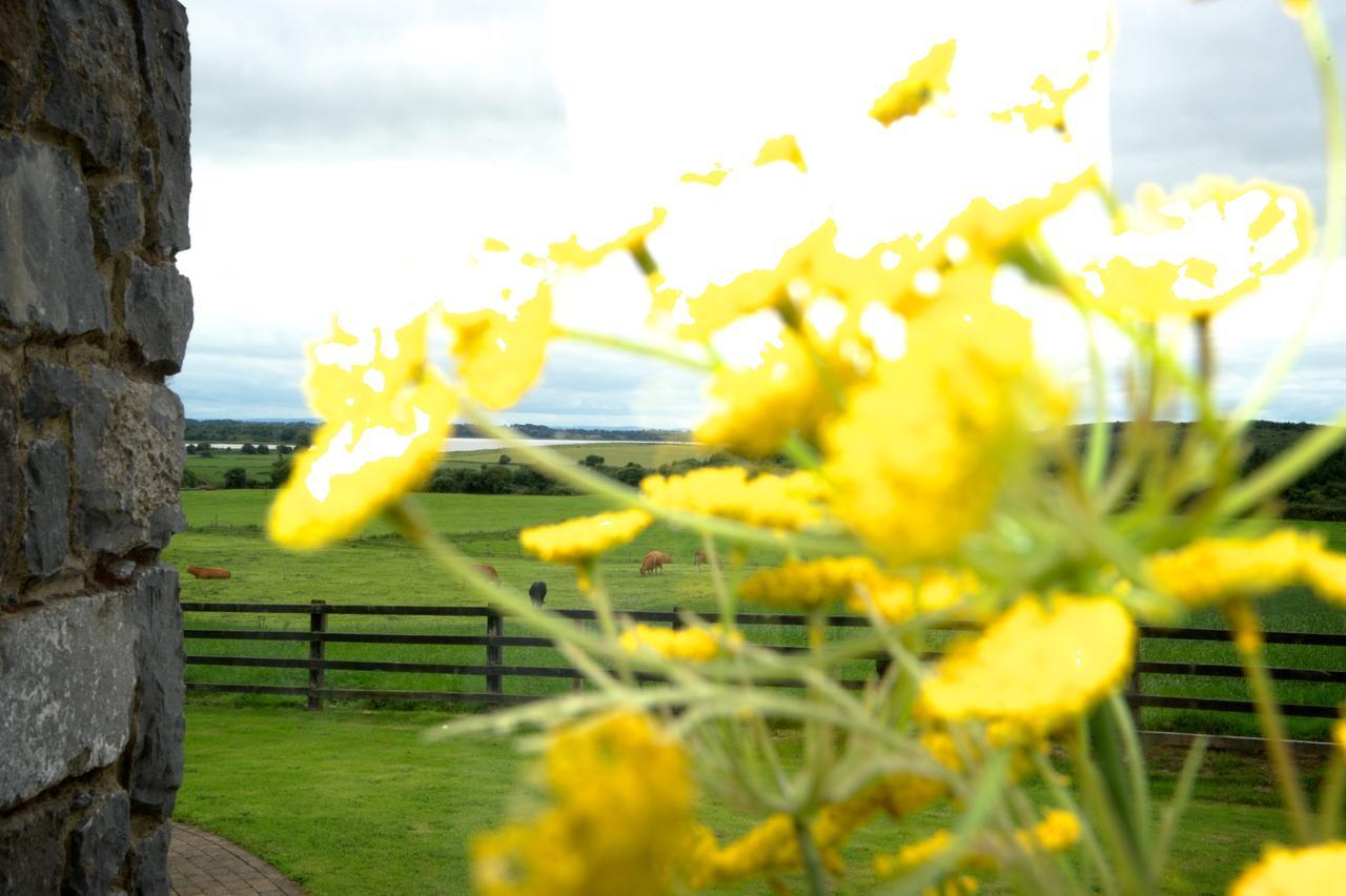 Bunratty Meadows Bed & Breakfast Exterior foto